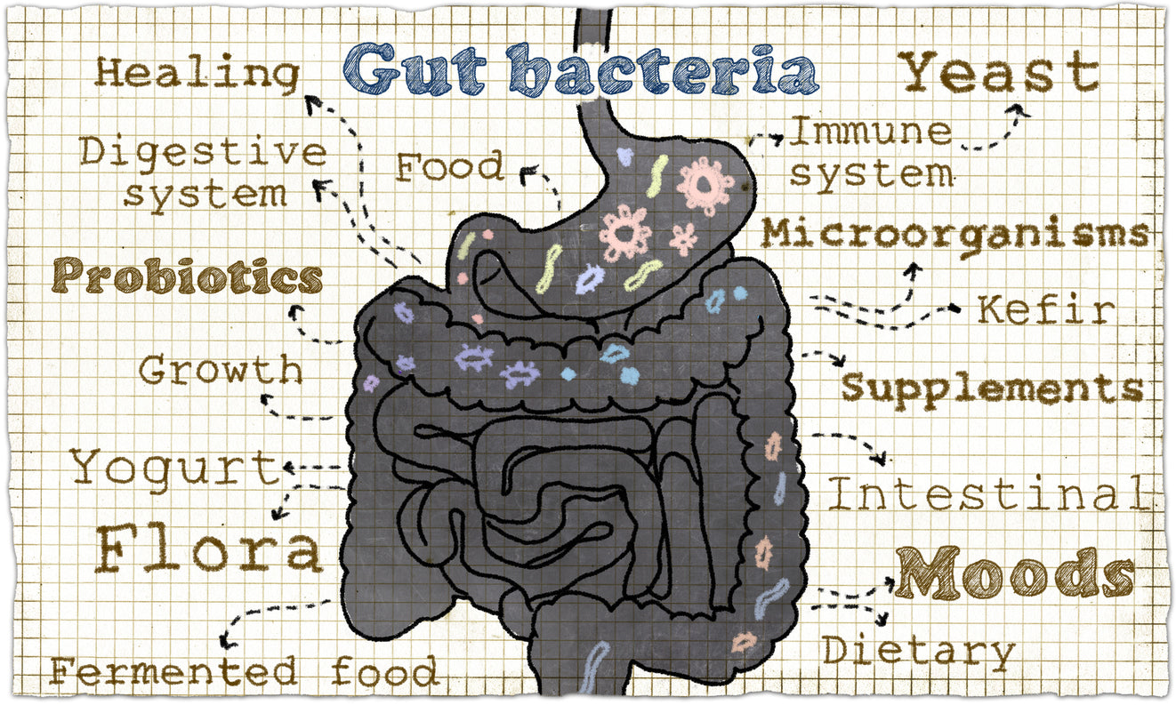 You & Your Belly-Brain: Why Good Health Starts In The Gut